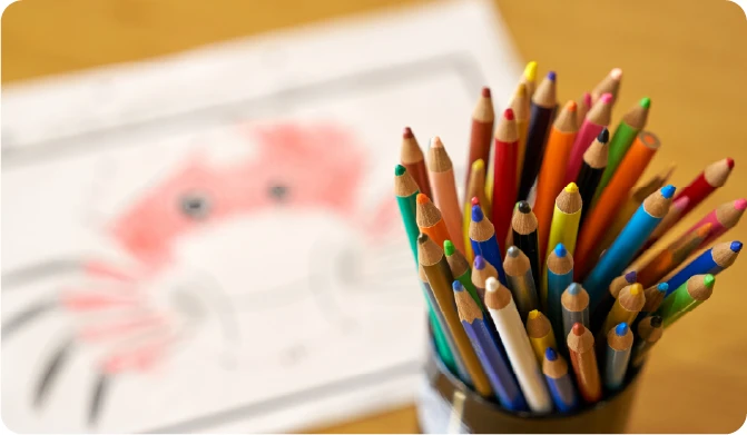 色鉛筆の写真